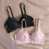 169439487547c5cf6341d008c752e4147be7243e0a_thumbnail_900x.webp
