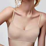 1713855401c70c0e161ab96272fabcc5bdcfa1d8a2_thumbnail_900x.webp