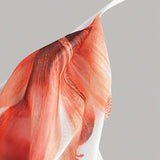 173224855363cc4af6d0dd3c4fc5c171795d833f7c_thumbnail_900x.webp