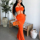 1743418298012431ab02a140e154c4a31728e1d195_thumbnail_900x.webp