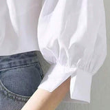 1744165976068029d8c2fd11bd3fc75e1967ce8273_wk_1747294081_thumbnail_900x.webp