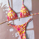 1745664508a198505269cde37cd825e6b2c7a82b74_thumbnail_900x.webp