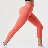 17477909092731bb1e1a7ca0b4c74cdd128cf62da4_thumbnail_900x.webp