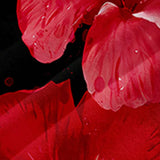 174789066788ac0e39fa9f19d833d91afac48c649d_thumbnail_900x.webp