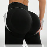 1747980386d2e2541d0291453d2b94b963a392fe04_thumbnail_900x.webp