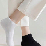 1750259971501192956ffa922fd8555f85dc63eeb6_thumbnail_900x.webp