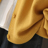 175440077197f65908c5df85c3982f5f5bc09aede7_wk_1754794072_thumbnail_900x.webp
