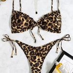 1639101955949f98fd379b69bfc688016291e1c47a_thumbnail_900x.webp
