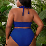 Swim Vcay Conjunto de traje de bano de talla grande con sujetador de unicolor y fondo de bikini fruncido para vacaciones y playa de verano