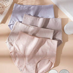 1722837921617f9ebc87a9d0da0ed057ad36c3da53_thumbnail_900x.webp