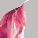 1739929447ffcfd0913bcedd977ed8232ed985b2de_thumbnail_900x.webp