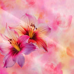 1743077243570e59bd3ec5e746cdd600eacd9abe91_thumbnail_900x.webp