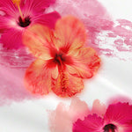 17430773205cfb7eda233e5f644935ed3380e2fd17_thumbnail_900x.webp