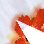 1745380231079a78e2ebabe5c7fbd0be191b8ca0ca_thumbnail_900x.webp