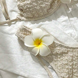 174649645802c60e930a3b99e0e5f67cc429104366_thumbnail_900x.webp