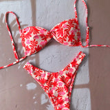 174730696830fc5a4a90e19fe9e552a4ad70b88013_thumbnail_900x.webp
