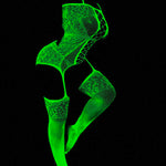 1749526639beb6596521defe3733fb7404d85c58b4_thumbnail_900x.webp