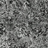 1755852845f54005435622412268fec69dc6b2646e_thumbnail_900x.webp