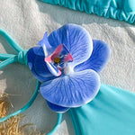 17558570135e7acc48f2591dd71ae7c843a5d817d9_wk_1756200451_thumbnail_900x.webp
